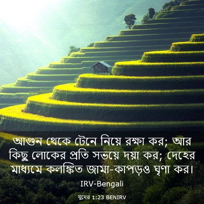 Picture 03 - যুদের 1:23 BENIRV - আগুন থেকে টেনে - Bible Verse Picture