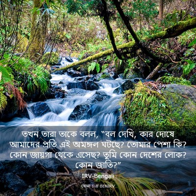 Picture 03 - যোনা 1:8 BENIRV - তখন তারা তাকে বলল, - Bible Verse Picture