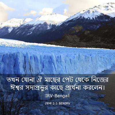 Picture 03 - যোনা 2:1 BENIRV - তখন যোনা ঐ মাছের - Bible Verse Picture