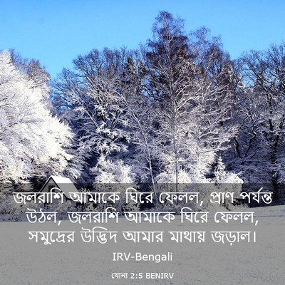 Picture 03 - যোনা 2:5 BENIRV - জলরাশি আমাকে ঘিরে - Bible Verse Picture