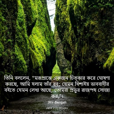 Picture 03 - যোহন 1:23 BENIRV - তিনি বললেন, - Bible Verse Picture