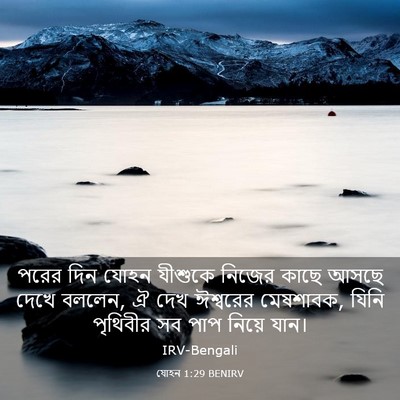 Picture 03 - যোহন 1:29 BENIRV - পরের দিন যোহন - Bible Verse Picture