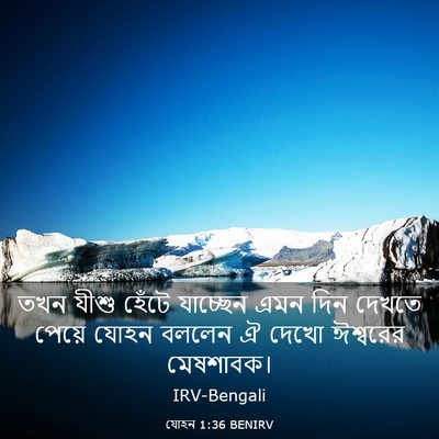 Picture 03 - যোহন 1:36 BENIRV - তখন যীশু হেঁটে - Bible Verse Picture
