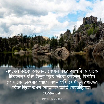 Picture 03 - যোহন 1:48 BENIRV - নথনেল তাঁকে বললেন, - Bible Verse Picture