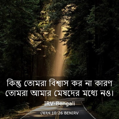 Picture 03 - যোহন 10:26 BENIRV - কিন্তু তোমরা - Bible Verse Picture