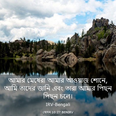 Picture 03 - যোহন 10:27 BENIRV - আমার মেষেরা আমার - Bible Verse Picture