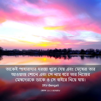 Picture 03 - যোহন 10:3 BENIRV - তাকেই পাহারাদার - Bible Verse Picture