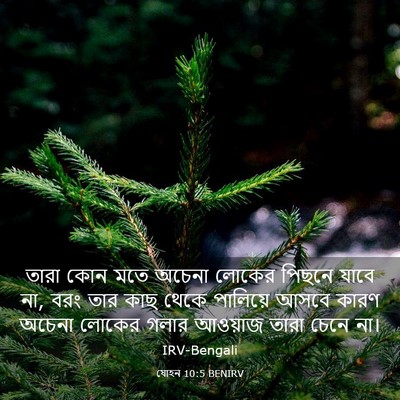 Picture 03 - যোহন 10:5 BENIRV - তারা কোন মতে অচেনা - Bible Verse Picture