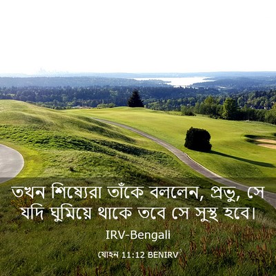 Picture 03 - যোহন 11:12 BENIRV - তখন শিষ্যেরা - Bible Verse Picture