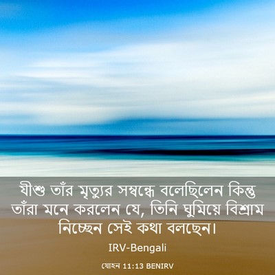 Picture 03 - যোহন 11:13 BENIRV - যীশু তাঁর মৃত্যুর - Bible Verse Picture