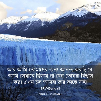 Picture 03 - যোহন 11:15 BENIRV - আর আমি তোমাদের - Bible Verse Picture
