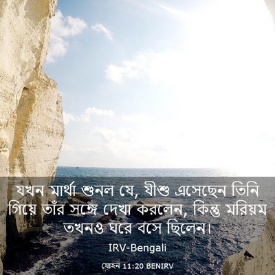 Picture 03 - যোহন 11:20 BENIRV - যখন মার্থা শুনল যে, - Bible Verse Picture