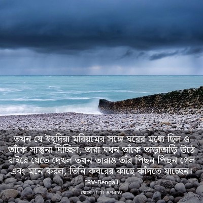 Picture 03 - যোহন 11:31 BENIRV - তখন যে ইহূদিরা - Bible Verse Picture