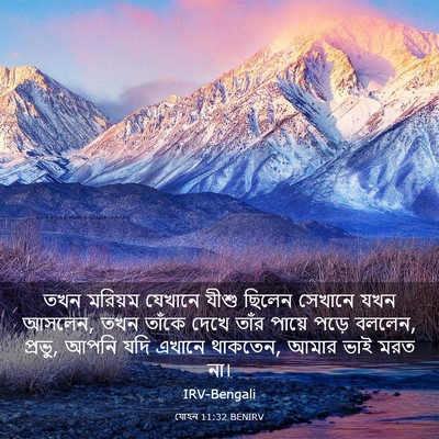 Picture 03 - যোহন 11:32 BENIRV - তখন মরিয়ম যেখানে - Bible Verse Picture