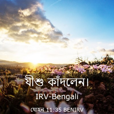 Picture 03 - যোহন 11:35 BENIRV - যীশু - Bible Verse Picture