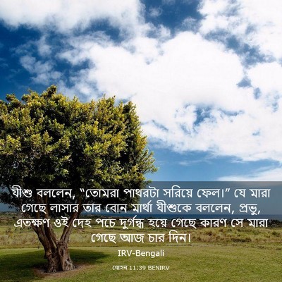Picture 03 - যোহন 11:39 BENIRV - যীশু বললেন, “তোমরা - Bible Verse Picture