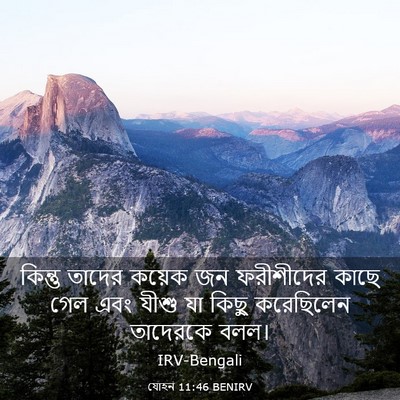 Picture 03 - যোহন 11:46 BENIRV - কিন্তু তাদের - Bible Verse Picture