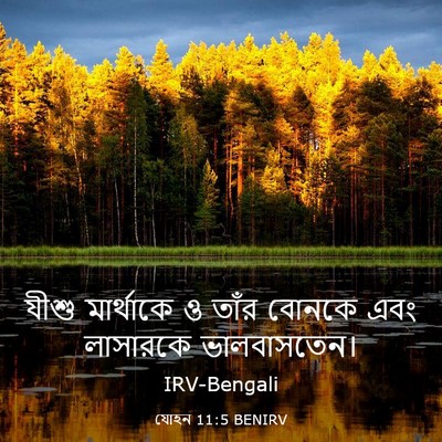 Picture 03 - যোহন 11:5 BENIRV - যীশু মার্থাকে ও - Bible Verse Picture