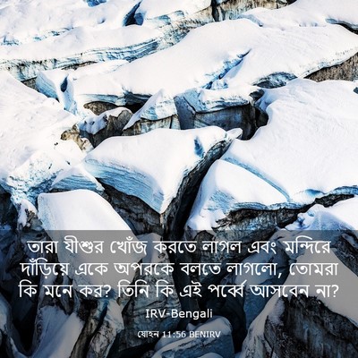 Picture 03 - যোহন 11:56 BENIRV - তারা যীশুর খোঁজ - Bible Verse Picture