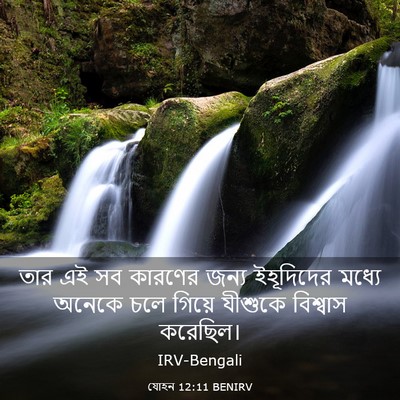 Picture 03 - যোহন 12:11 BENIRV - তার এই সব কারণের - Bible Verse Picture