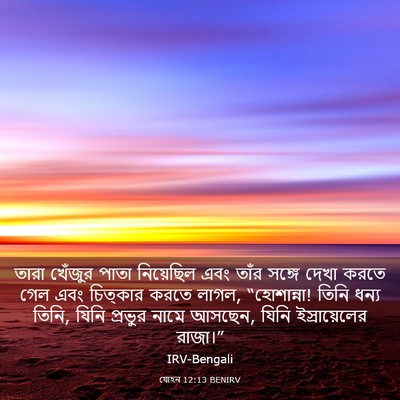 Picture 03 - যোহন 12:13 BENIRV - তারা খেঁজুর পাতা - Bible Verse Picture
