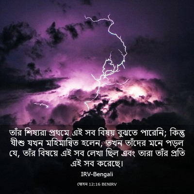 Picture 03 - যোহন 12:16 BENIRV - তাঁর শিষ্যরা - Bible Verse Picture