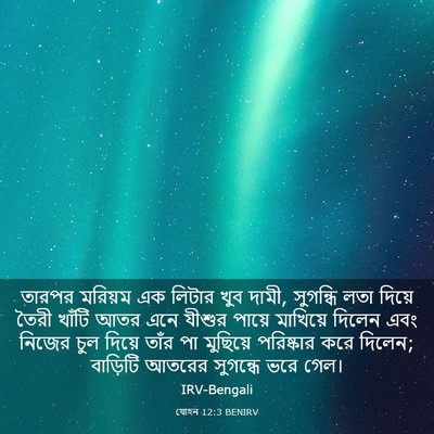 Picture 03 - যোহন 12:3 BENIRV - তারপর মরিয়ম এক - Bible Verse Picture