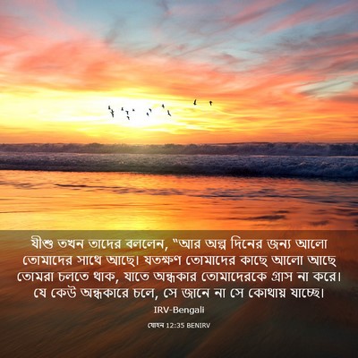 Picture 03 - যোহন 12:35 BENIRV - যীশু তখন তাদের - Bible Verse Picture