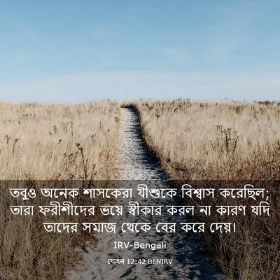 Picture 03 - যোহন 12:42 BENIRV - তবুও অনেক শাসকেরা - Bible Verse Picture