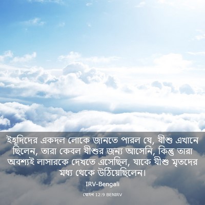 Picture 03 - যোহন 12:9 BENIRV - ইহূদিদের একদল - Bible Verse Picture