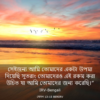 Picture 03 - যোহন 13:15 BENIRV - সেইজন্য আমি - Bible Verse Picture