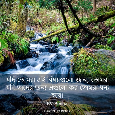 Picture 03 - যোহন 13:17 BENIRV - যদি তোমরা এই - Bible Verse Picture