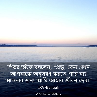 Picture 03 - যোহন 13:37 BENIRV - পিতর তাঁকে বললেন, - Bible Verse Picture