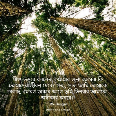 Picture 03 - যোহন 13:38 BENIRV - যীশু উত্তরে বললেন, - Bible Verse Picture