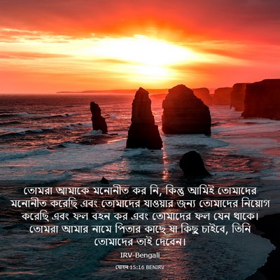 Picture 03 - যোহন 15:16 BENIRV - তোমরা আমাকে - Bible Verse Picture