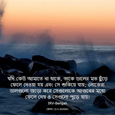 Picture 03 - যোহন 15:6 BENIRV - যদি কেউ আমাতে না - Bible Verse Picture