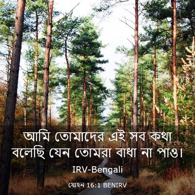 Picture 03 - যোহন 16:1 BENIRV - আমি তোমাদের এই সব - Bible Verse Picture