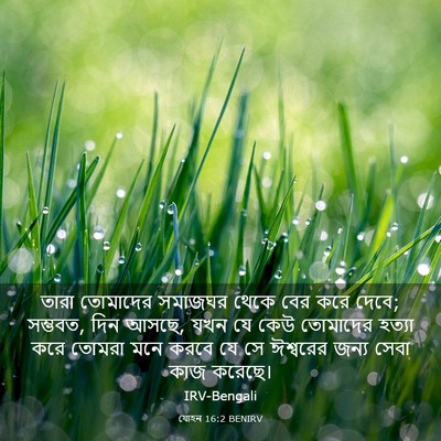 Picture 03 - যোহন 16:2 BENIRV - তারা তোমাদের - Bible Verse Picture