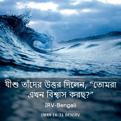 Picture 03 - যোহন 16:31 BENIRV - যীশু তাঁদের উত্তর - Bible Verse Picture