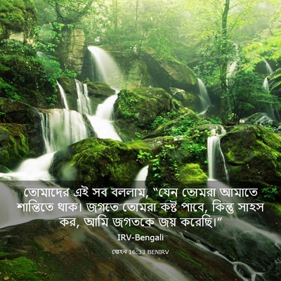 Picture 03 - যোহন 16:33 BENIRV - তোমাদের এই সব - Bible Verse Picture