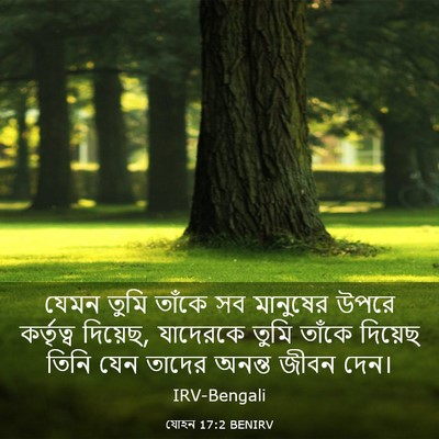 Picture 03 - যোহন 17:2 BENIRV - যেমন তুমি তাঁকে সব - Bible Verse Picture