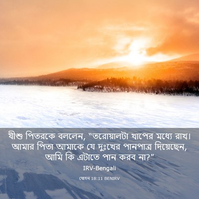 Picture 03 - যোহন 18:11 BENIRV - যীশু পিতরকে বললেন, - Bible Verse Picture