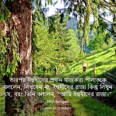 Picture 03 - যোহন 19:21 BENIRV - তারপর ইহুদীদের - Bible Verse Picture