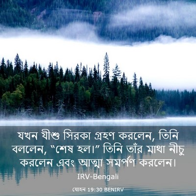 Picture 03 - যোহন 19:30 BENIRV - যখন যীশু সিরকা - Bible Verse Picture