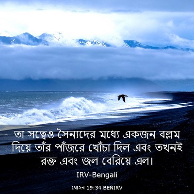 Picture 03 - যোহন 19:34 BENIRV - তা সত্বেও - Bible Verse Picture