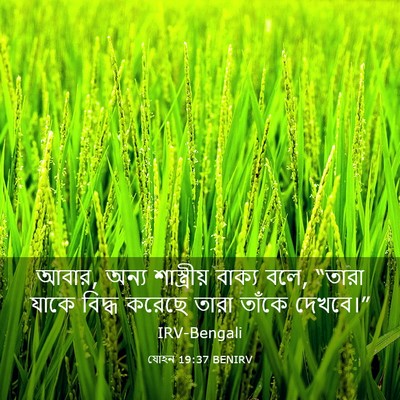 Picture 03 - যোহন 19:37 BENIRV - আবার, অন্য - Bible Verse Picture
