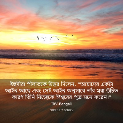 Picture 03 - যোহন 19:7 BENIRV - ইহুদীরা পীলাতকে - Bible Verse Picture