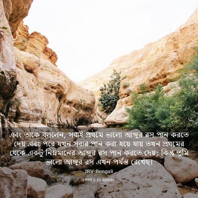 Picture 03 - যোহন 2:10 BENIRV - এবং তাকে বললেন, - Bible Verse Picture