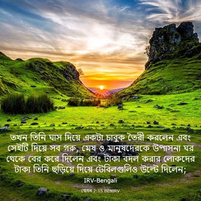 Picture 03 - যোহন 2:15 BENIRV - তখন তিনি ঘাস দিয়ে - Bible Verse Picture
