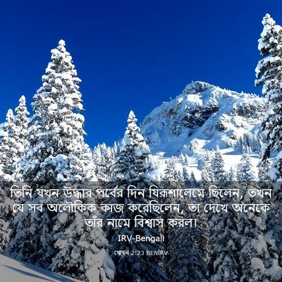Picture 03 - যোহন 2:23 BENIRV - তিনি যখন উদ্ধার - Bible Verse Picture